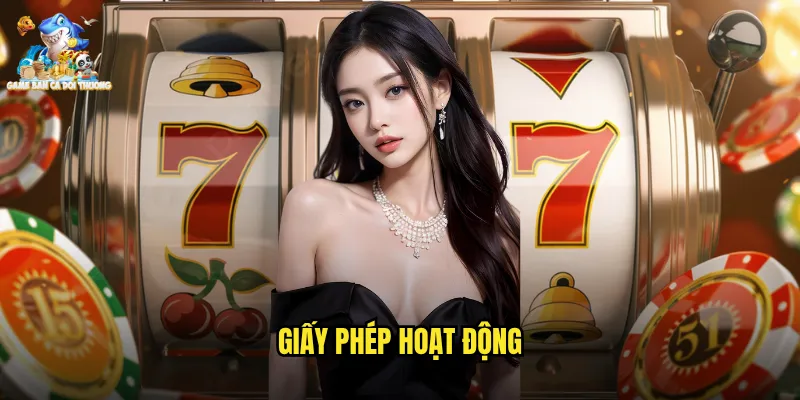 giấy phép hoạt động